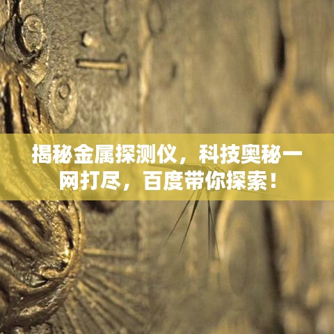 2025年6月27日 第3页